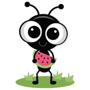 The cute Chirpy avatar! He's the mascot for this Jekyll theme!